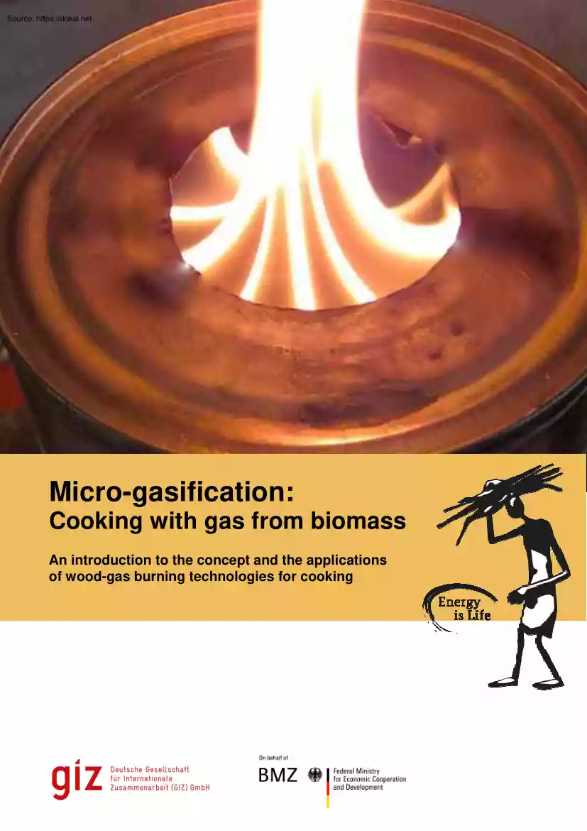 Christa Roth - Micro-gasification, Cooking with Gas from Biomass
