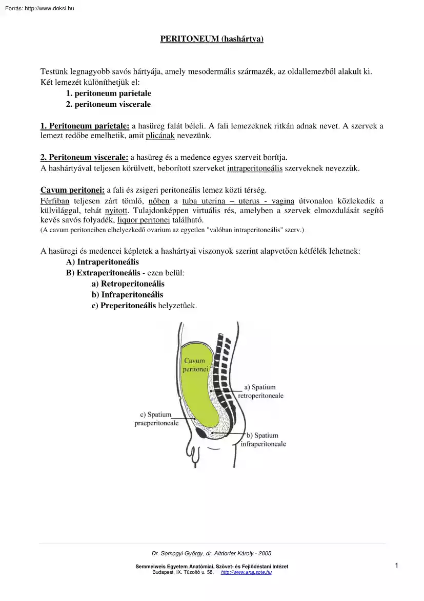 Peritoneum (hashártya)