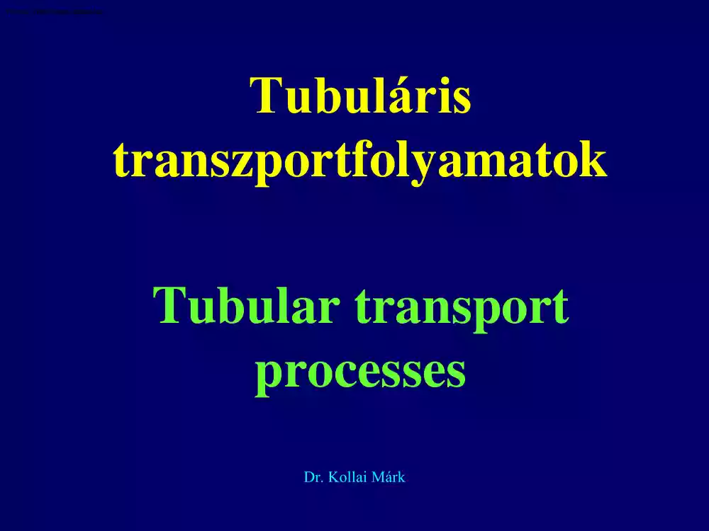 Dr. Kollai Márk - Tubuláris transzportfolyamatok