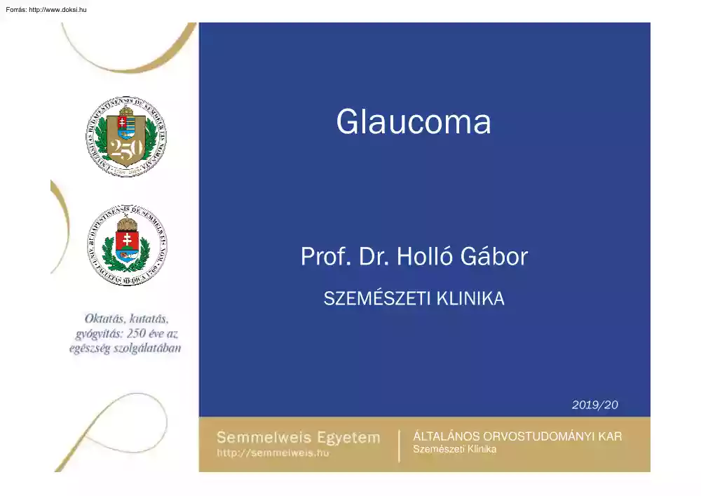 Prof. Dr. Holló Gábor - Glaucoma