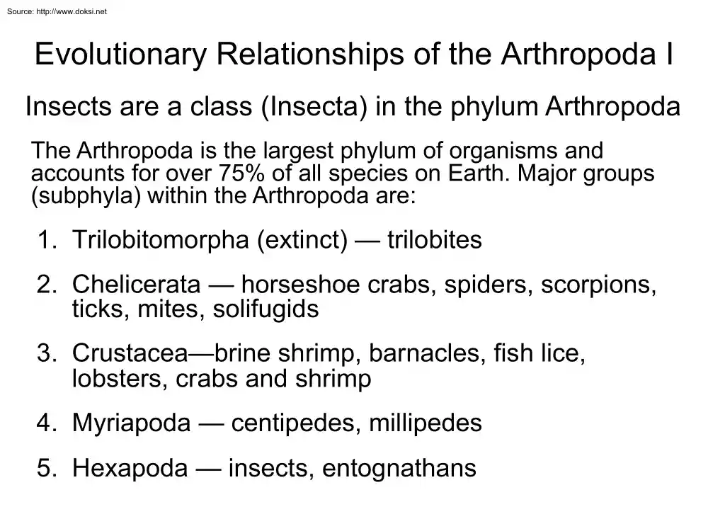 Evolutionary Relationships of the Arthropoda I.