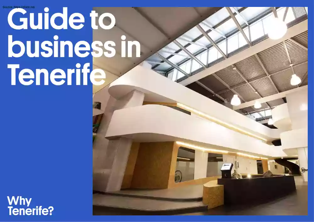 Guide to Business in Tenerife