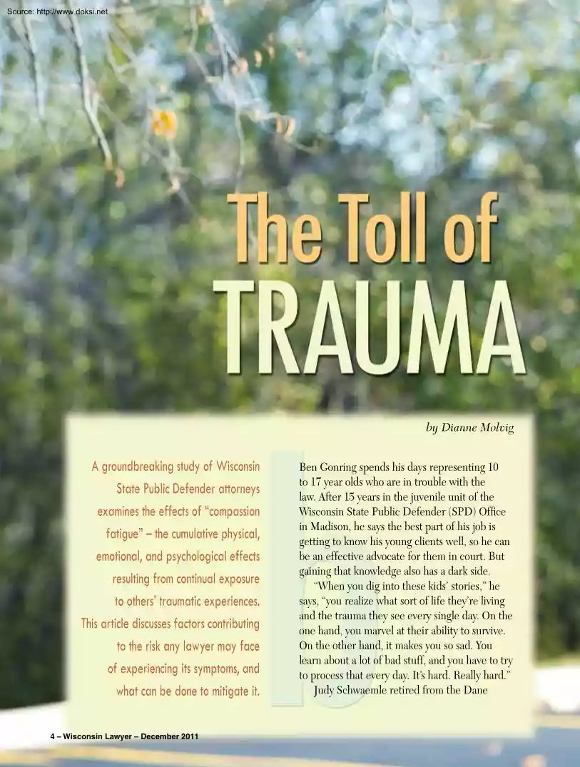 Dianne Molvig - The Toll of Trauma