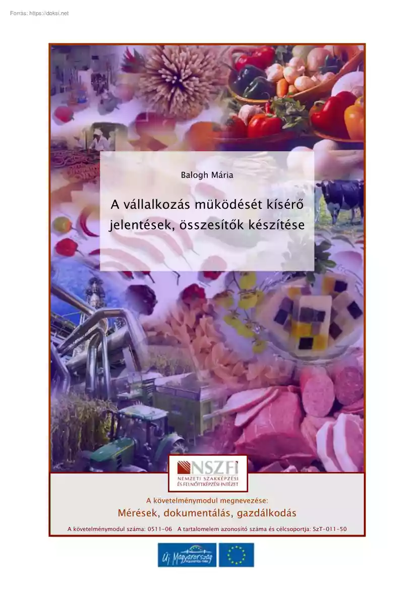 Balogh Mária - A vállalkozás működését kísérő jelentések, összesítők készítés