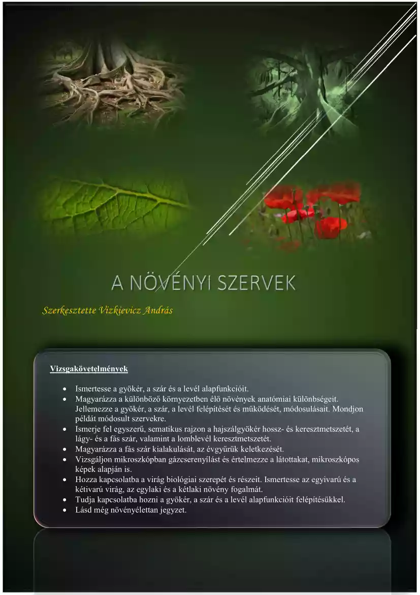 Vizkievicz András - Növényi szervek