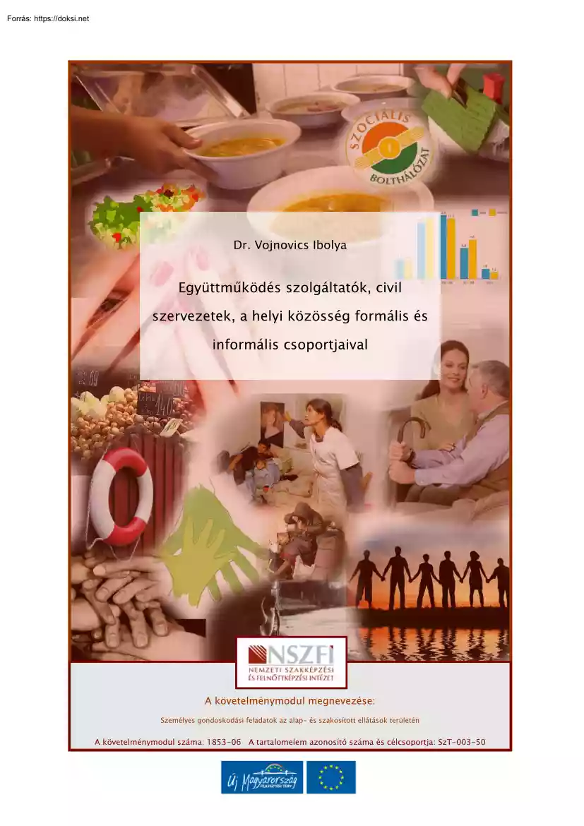 Dr. Vojnovics Ibolya - Együttműködés szolgáltatók, civil szervezetek, a helyi közösség