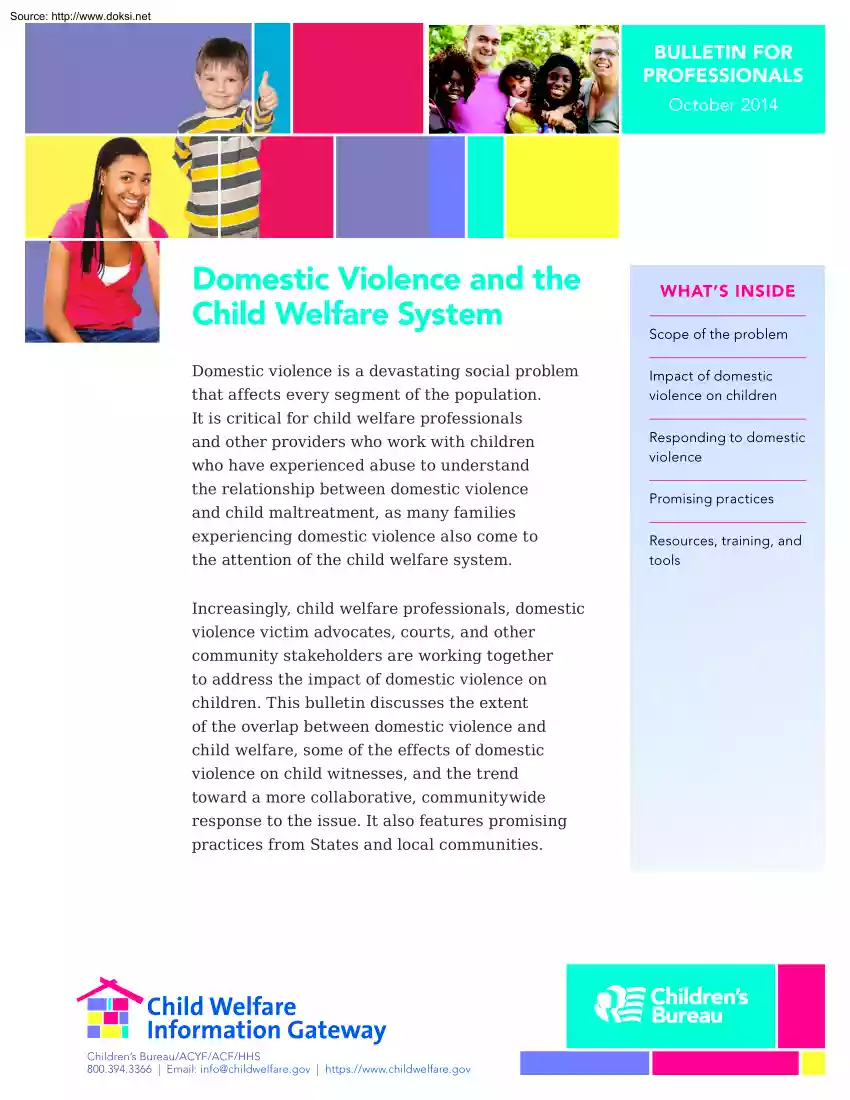 Domestic Violence and the Child Welfare System