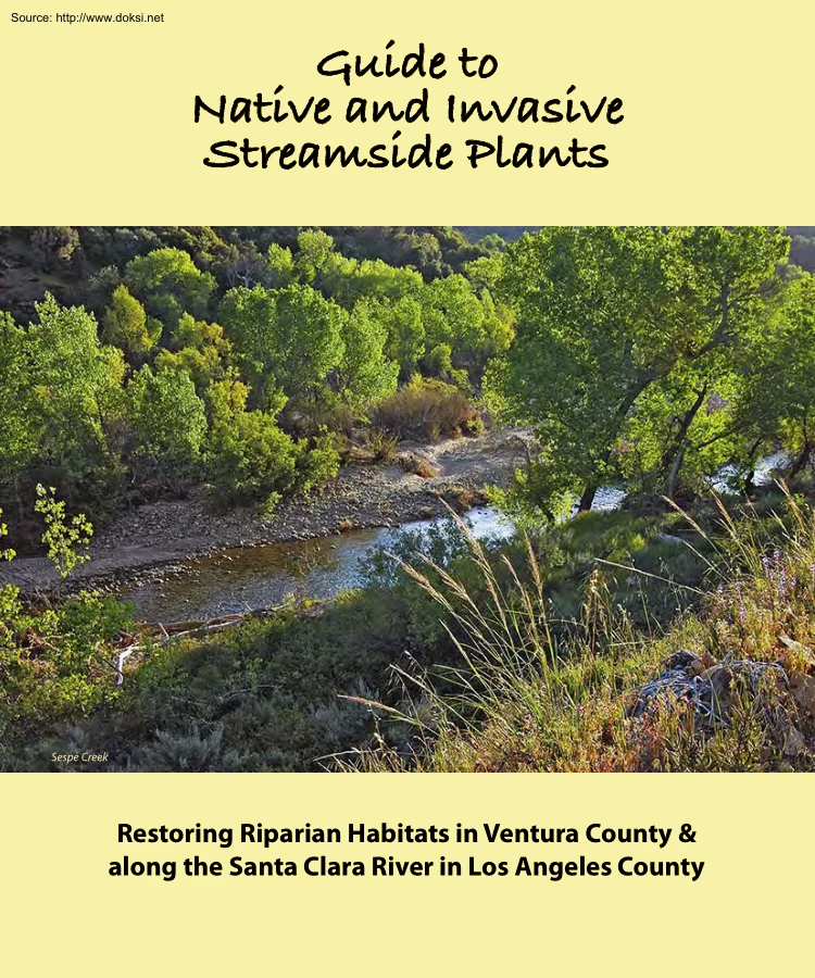 Guide to Native and Invasive Streamside Plants