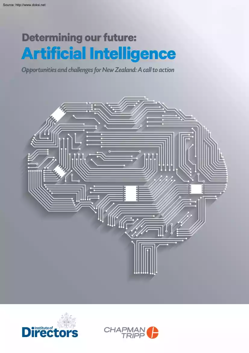 Artificial Intelligence, Opportunities and Challenges for New Zealand, A Call to Action
