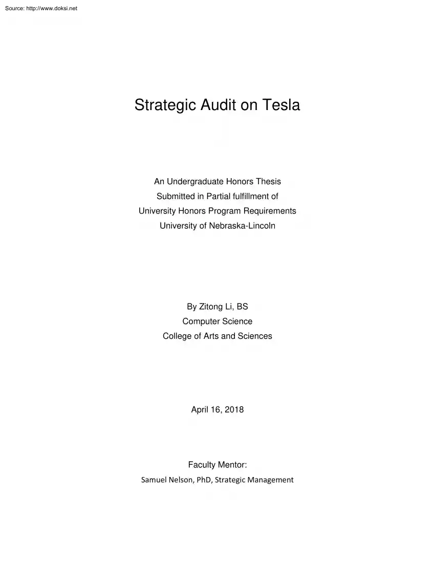 Zitong Li - Strategic Audit on Tesla