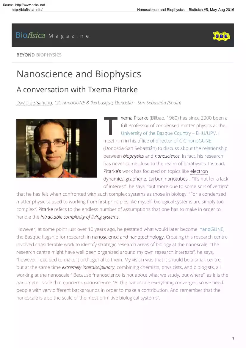 Nanoscience and Biophysics, A Conversation with Txema Pitarke