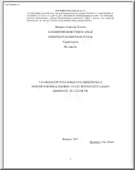 Nagy Tünde - A globális kultúra