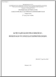 Varga Lívia Judit - Az ír gazdasági