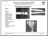 Szigetvári Pisti - Barlangászkötelek fajtái és tulajdonságai