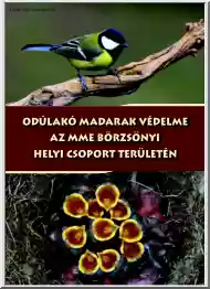 Nagy Csaba - Odulakó madarak védeleme