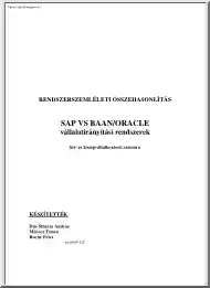 Dén-Mórocz-Rochy - SAP, Baan, Oracle rendszerszemléletű összehasonlítás