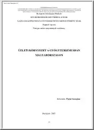 Fojta Georgina - Üzleti környezet a gyógyturizmusban Magyarországon