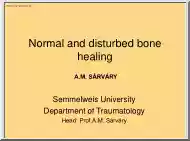 Sárváry - Normal and disturbed bone healing
