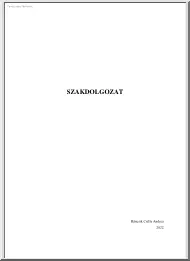 Ráncsik Csilla Andrea - Magyarország kőszínházainak szegmentálása marketingtevékenységük alapján