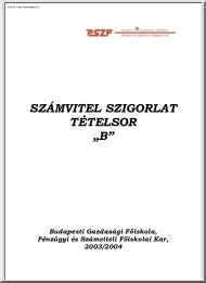 PSZF Számvitel szigorlati B tételek, 2004
