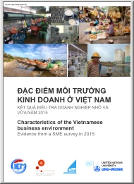 Characteristics of the Vietnamese Business Environment