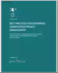 Best Practices for Enterprise Gamification Project Management
