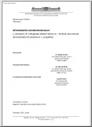 Dr. Mahler András - Kétdimenziós szivárgásvizsgálat