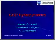 Mahnaz Q. Haseeb - QGP Hydrodynamics