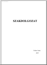 Urbán Cintia - Alternatív városnézés Budapesten, mint új kihívás az idegenforgalmi szakma számára