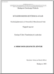 Scherczer Károly Róbert - A Mercosur