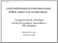 Paulovics Péter - Gyógynövények