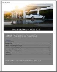 Tesla Motors, MGT 525