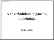 Dr. Csala Miklós - A rosszindulatú