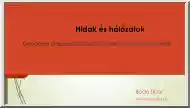 Bodó Tibor - Hidak és hálózatok