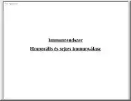 Immunrendszer -Humorális és sejtes immunválasz