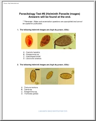 Parasitology Test, Helminth Parasite Images