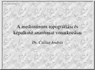 Dr. Csillag István - A mediastinum topográfiája és képalkotóanatómiai vonatkozásai