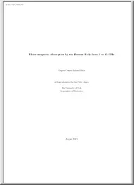 Electromagnetic Absorption by the Human