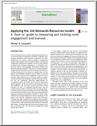 Wilmar B. Schaufeli - Applying the Job Demands-Resources model