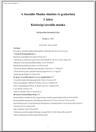 Gosztonyi Géza - A szociális munka elmélete és gyakorlata III - Közösségi szociális munka