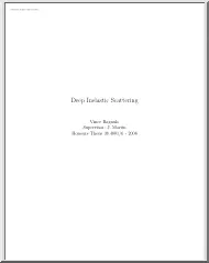 Vince Bagnulo - Deep Inelastic Scattering