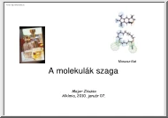 Majer Zsuzsa - A molekulák szaga