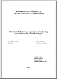 Szokoly Edina - A Naturholztechnik Kft. vagyoni-, pénzügyi és jövedelmezőségi helyzetének értékelése a beszámolók alapján