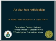Földes-Tarján - Az akut has radiológiája