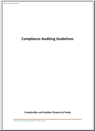 Compliance Auditing Guidelines