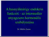 Dr. Miklós Zsuzsanna - A hasnyálmirigy endokrin funkciói, az intermedier anyagcsere hormonális szabályozása