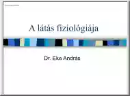 Dr. Eke András - A látás fiziológiája I-II-III