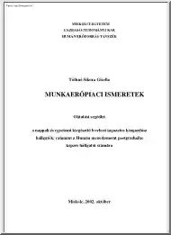 Tóthné Sikora Gizella - Munkaerőpiaci ismeretek oktatási segédlet