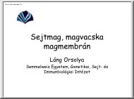 Láng Orsolya - Sejtmag, magvacska, magmembrán