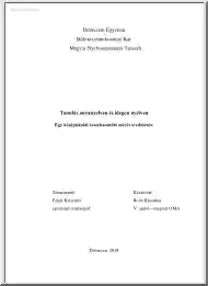 Boda Krisztina - Tanulás anyanyelven és idegen nyelven, Egy középiskolai összehasonlító mérés eredménye